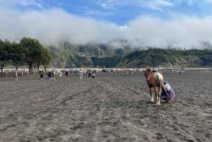 Fra Surabaya: 4-dages tur til Tumpak Sewu, Bromo, Ijen og Bali