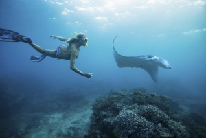 From Bali: Swim with Manta Rays in Nusa Penida