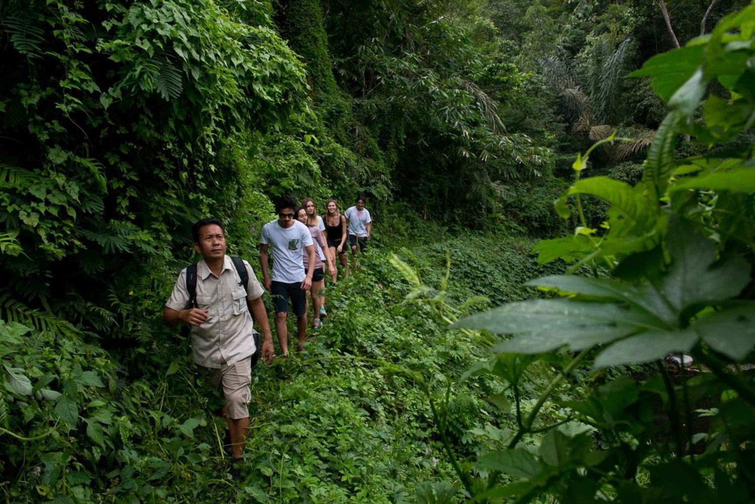 From Ubud: 3-Hour Tropical Trek and Taro Village Tour