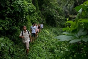 Desde Ubud: recorrido tropical de 3 horas y recorrido por el pueblo de Taro