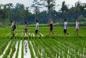 Desde Ubud: recorrido tropical de 3 horas y recorrido por el pueblo de Taro