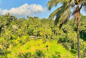 From Ubud: ATV Adventure, Rice Fields, and Waterfall Tour