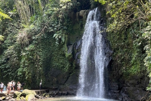 From Ubud: ATV Adventure, Rice Fields, and Waterfall Tour