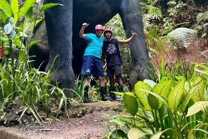 Fra Ubud: ATV-eventyr, rismarker og fossefallstur
