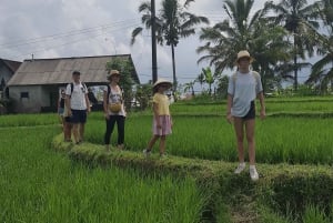 Depuis Bali : Visite nocturne des lucioles et aperçu des cultures balinaises