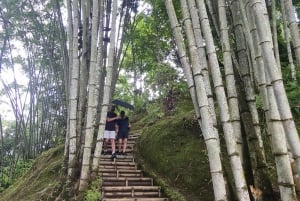 Depuis Bali : Visite nocturne des lucioles et aperçu des cultures balinaises