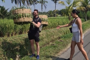 Depuis Bali : Visite nocturne des lucioles et aperçu des cultures balinaises