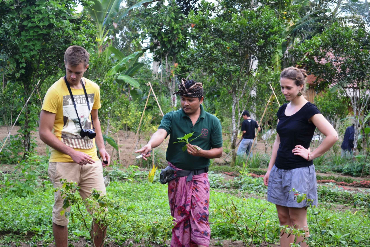 From Ubud: Balinese Cooking Class at an Organic Farm