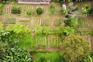 Ubud : Récolte dans une ferme biologique, cours de cuisine à Bali par Pemulan