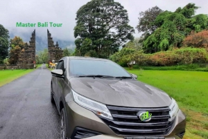 From Ubud: Departure Transfer to Bali Airport