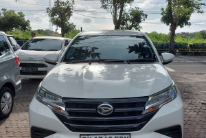 From Ubud: Departure Transfer to Bali Airport