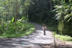 From Ubud: Downhill Bike Tour with Rice Terraces and Meal
