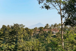 Bici con terrazze di riso e pranzo: tour da Ubud