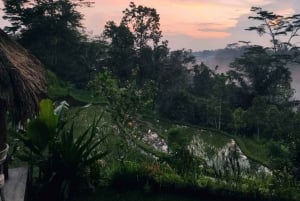 From Ubud: Evening Firefly Tour in Taro Village