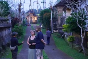 From Ubud: Evening Firefly Tour in Taro Village