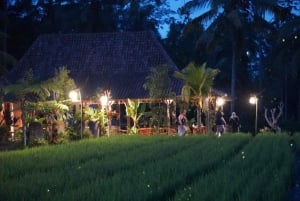 Vanuit Ubud: Avond Firefly Tour in Taro Village