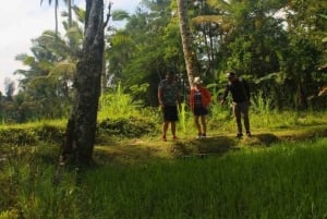 Vanuit Ubud: Avond Firefly Tour in Taro Village