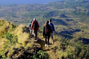 From Ubud: Mount Batur Hiking