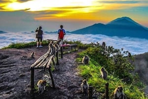 From Ubud: Mount Batur Hiking