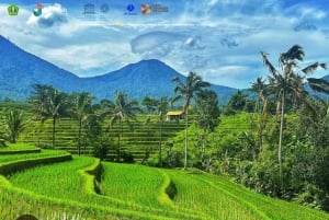Desde Ubud: tour guiado por el pueblo de Tengkudak con avistamiento de aves