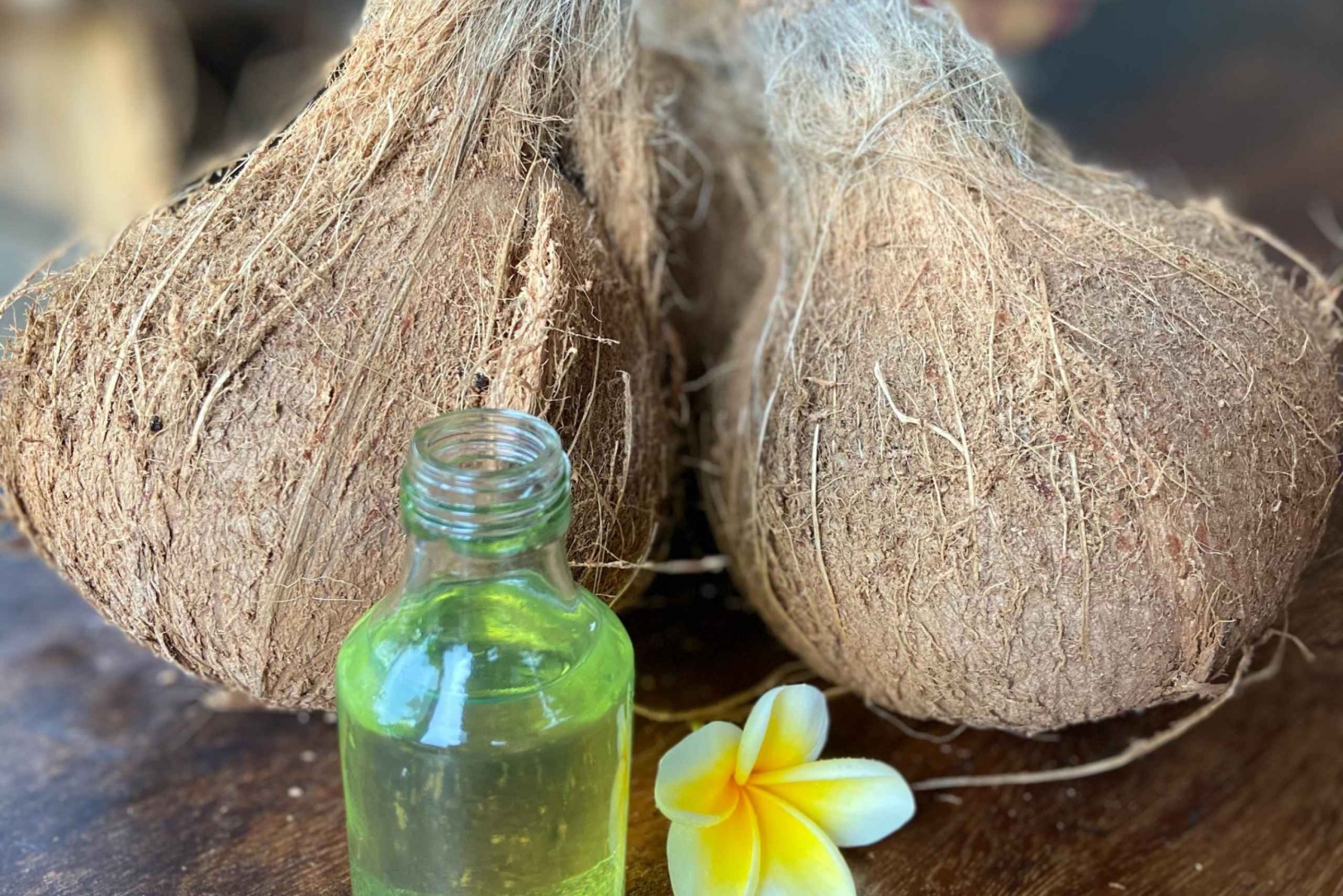 From Ubud: Traditional Bali Cococut Oil Class with Lunch