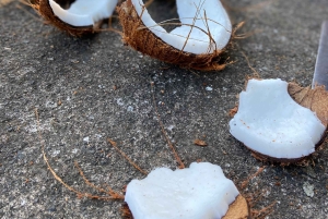 From Ubud: Traditional Bali Coconut Oil Class