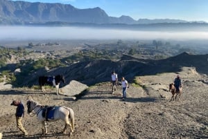 From Yogyakarta : 3Days Bromo-Ijen Vulcano drop Bali Hotel