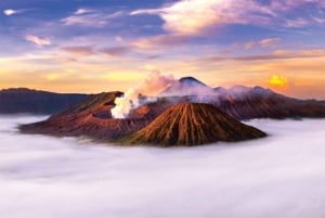 From Yogyakarta: Bromo & Ijen 3-Day Tour with Bali Drop-off