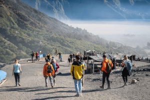 Surabaya/Malang/Probolinggo: Bromo Ijen med avlevering på Bali