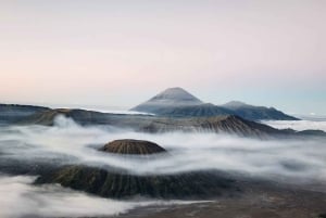 From Yogyakarta or Surabaya: Mount Bromo and Ijen Blue Fire
