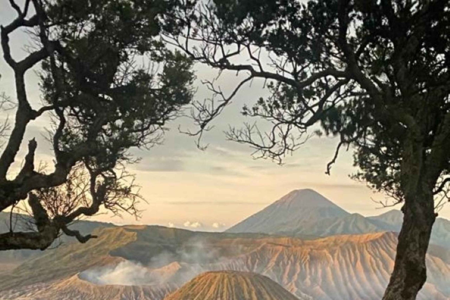 Desde Yogyakarta, Surabaya o Malang: Bromo Ijen Bali 3D2N