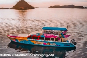 Full Day Tour Komodo Island With Sharing Speedboat