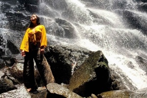Visite d'une jounée privée des chutes d'eau de Bali - tout compris