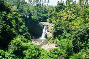 Visite d'une jounée privée des chutes d'eau de Bali - tout compris