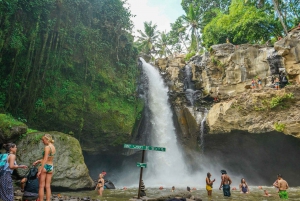 Excursão particular de 1 dia para as cachoeiras de Bali - Tudo incluído