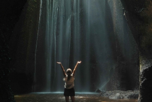 Tour privato delle cascate di Bali di un giorno intero - Tutto incluso