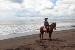Bali: Ridning på stranden med gratis transport