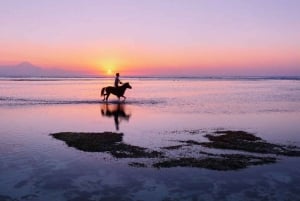 Bali: Ridning på stranden med gratis transport
