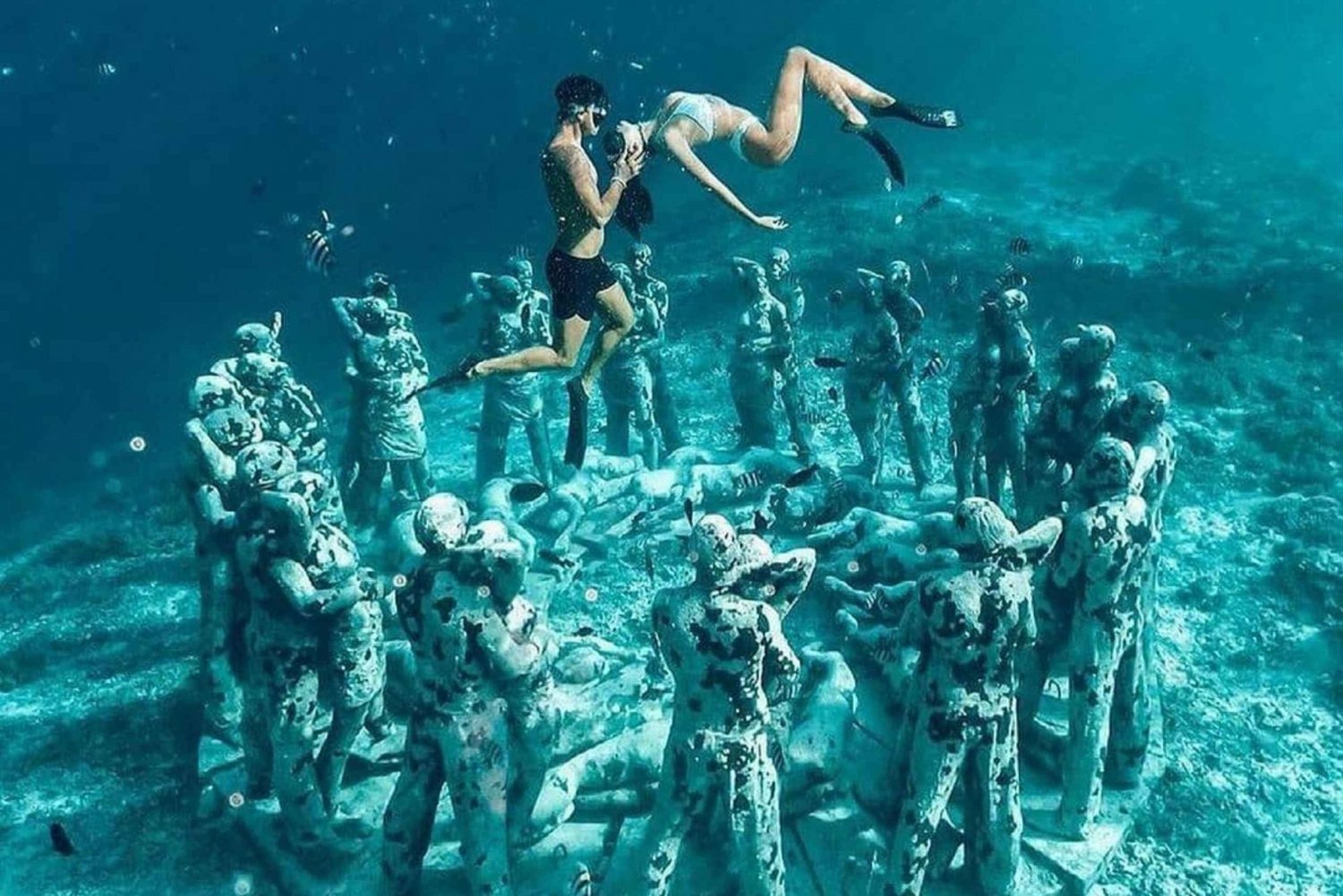 Gili Islands: Private Snorkeling Boat Tour with Local Guide