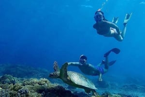 Gili Islands: Private Snorkeling Boat Tour with Local Guide