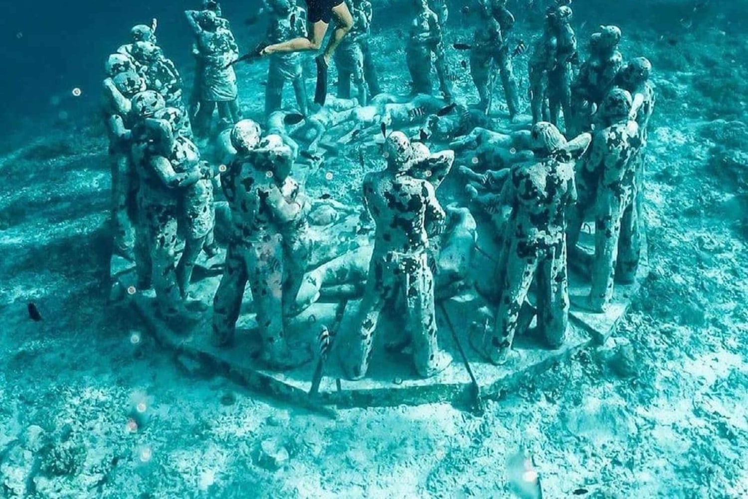 Wyspy Gili: Prywatny rejs wycieczkowy z nurkowaniem z lokalnym przewodnikiem