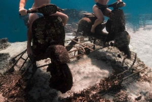 Wyspy Gili: Prywatny rejs wycieczkowy z nurkowaniem z lokalnym przewodnikiem