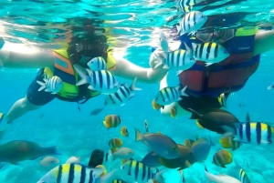 Wyspy Gili: Prywatny rejs wycieczkowy z nurkowaniem z lokalnym przewodnikiem