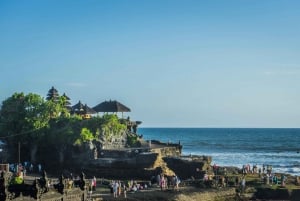 Bali : Visite d'une demi-journée du temple de Tanah Lot au coucher du soleil