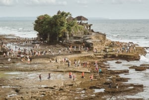 Bali: Półdniowa wycieczka o zachodzie słońca do świątyni Tanah Lot