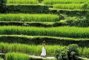 Half-Day Ubud Tour: Pakudui Terraces, Waterfall+Water Temple