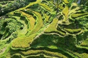 Half-Day Ubud Tour: Pakudui Terraces, Waterfall+Water Temple