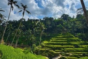 Half-Day Ubud Tour: Pakudui Terraces, Waterfall+Water Temple