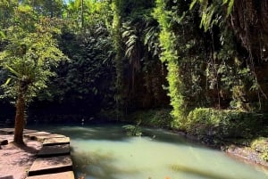 Half-Day Ubud Tour: Pakudui Terraces, Waterfall+Water Temple
