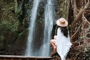 Half-Day Ubud Tour: Pakudui Terraces, Waterfall+Water Temple